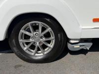 Swift-Sprite-Alpine-2-2019-6