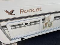 Avondale-Avocet-2