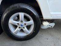 Bailey-Panther-420-2020